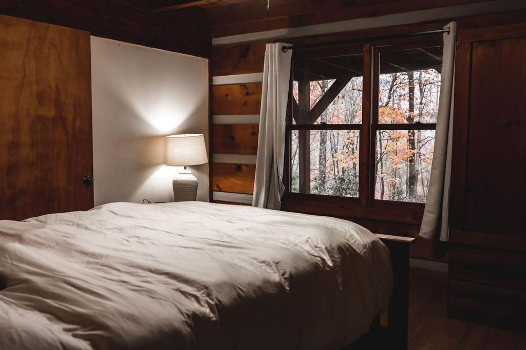 Blueberry Hideaway At 36 North Cabin - Hot Tub Purlear المظهر الخارجي الصورة